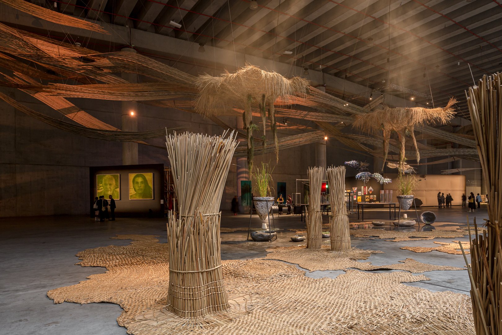 Biennale deals
