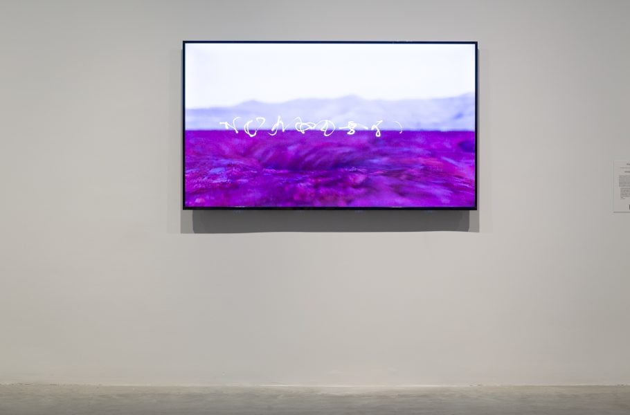 Jenna Sutela, nimiia cétiï,2018. Courtesy the artist. Created in collaboration with Memo Akten and Damien Henry as part of Google Arts & Culture's artist-in-residence program n-Dimensions. Presentation at the 23rd Biennale of Sydney was made possible with generous support from the Goethe-Institut Australia. Installation view, 23rd Biennale of Sydney, rīvus, 2022, Museum of Contemporary Art Australia. Photography: Document Photography.
