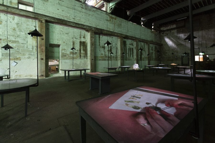 Reclaimed tables fill an industrial space on Cockatoo Island. Videos are projected onto the surface of the tables. The videos show scientific research and footage taken by the Adrift Lab scientists at Lord Howe Island.
