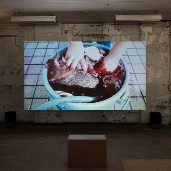 Ami Inoue, The Life of the Hunter, 2016