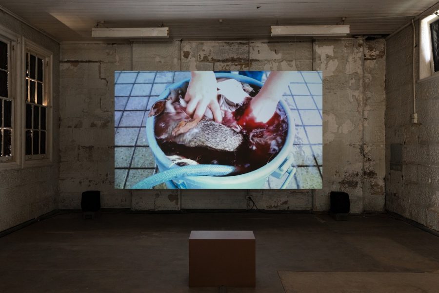 Ami Inoue, The Life of the Hunter, 2016