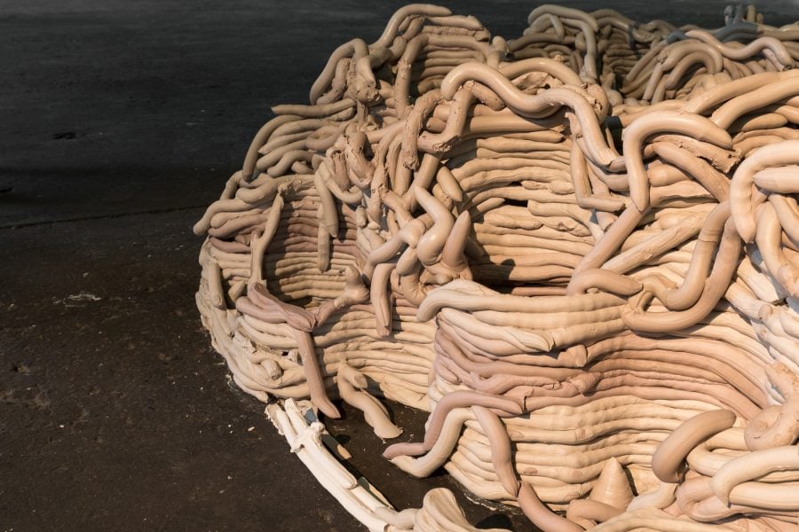 Anya Gallaccio, Beautiful Minds, 2015/2018 (detail)