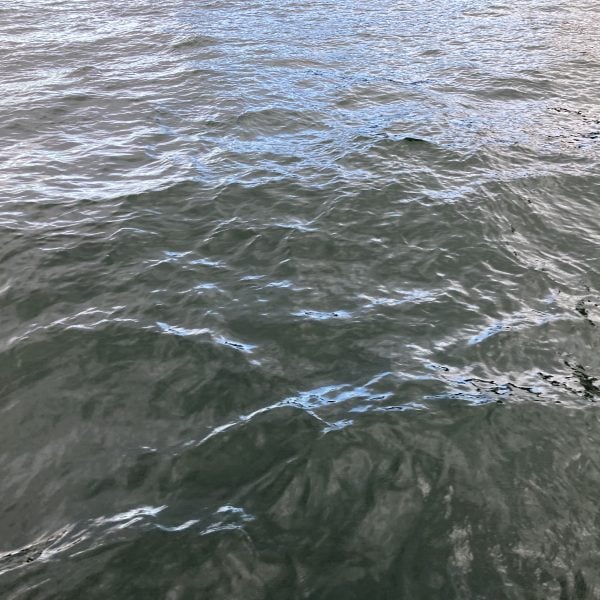 Burramatta River