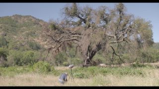 Bernie Krause, A Life with the Great Animal Orchestra
