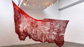 Spotlight Talk: Cristina Flores Pescorán