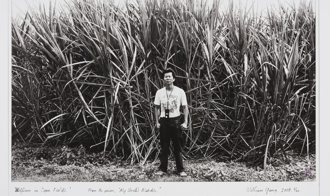 Yang, William.
William in cane fields (from ‘My Uncle’s Murder’ series) 2008
59cm  x 91cm (print)
104cm x 121cm (Framed)
Image Courtesy: The Artist
