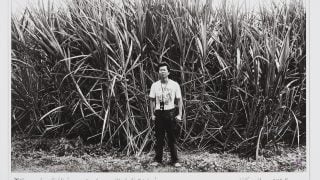 Spotlight Talk: William Yang