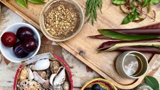Native Food Workshops with Three Little Birds