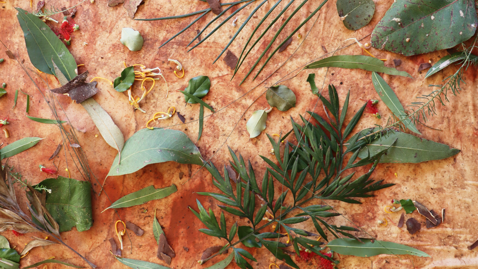 Botanical Dyes Workshop with Retritus