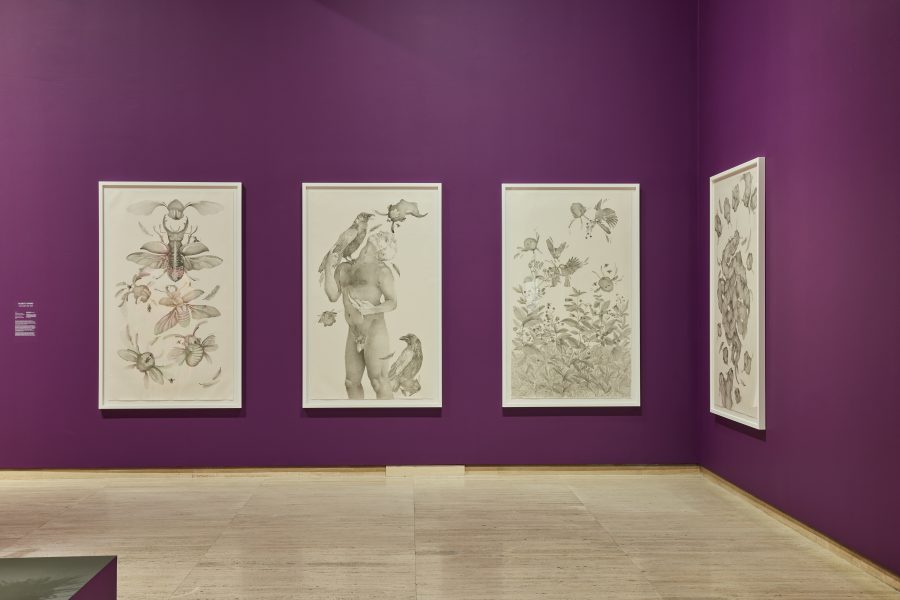 Left to right: Robert Gabris, Becoming An Insect, 2023; A Moment before You Die, 2023; Deadly Nightshade, 2023; In the Garden of Catastrophy, 2023. Commissioned by the Biennale of Sydney and produced in collaboration with Phileas - The Austrian Office for Contemporary Art and the Austrian Federal Ministry for Arts, Culture, Civil Service and Sport. Courtesy the artist © Robert Gabris. Installation view, 24th Biennale of Sydney, Ten Thousand Suns, 2024, Art Gallery of New South Wales. Photograph: Christopher Snee.