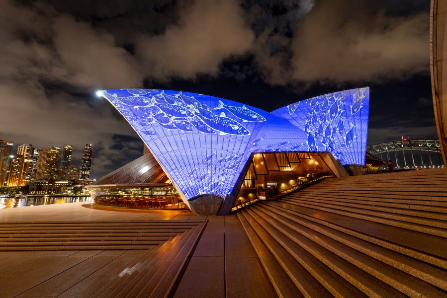 Steven Russell, ‘Badu Gili: Healing Spirit’, 2024. Sydney Opera House. Created in partnership between the Sydney Opera House, Biennale of Sydney and the Fondation Cartier pour l’art contemporain. Animated by Vandal, soundscape by James Henry. Featuring Steven Russell's ‘Netting Mullet’, 2009. Collection Wollongong Art Gallery, Gift of the artist 2011, produced with Thomas Goulder at Duckprint Fine Art Studios, Port Kembla. Photograph: Daniel Boud.