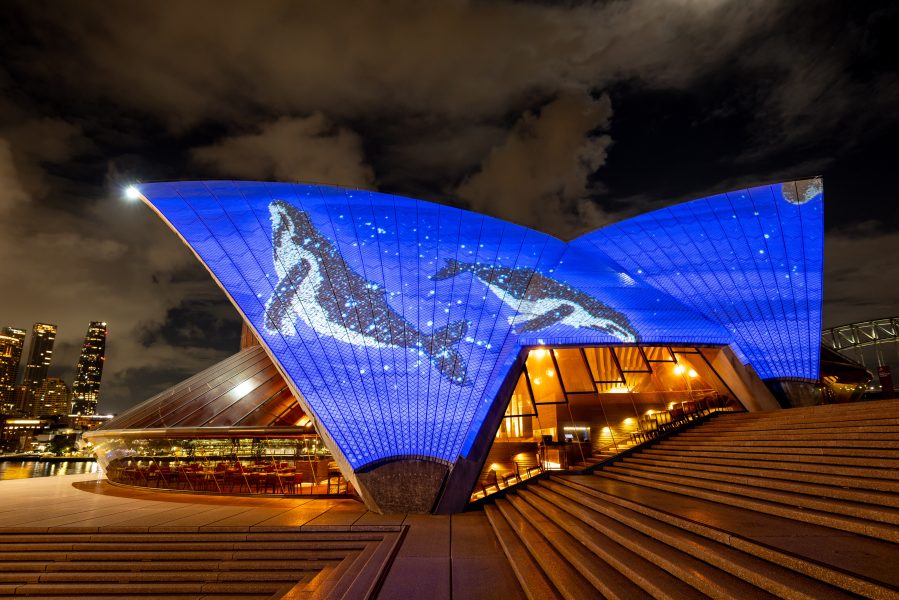 Marilyn Russell, ‘Badu Gili: Healing Spirit’, 2024. Sydney Opera House. Created in partnership between the Biennale of Sydney, Sydney Opera House, and the Fondation Cartier pour l’art contemporain. Animated by Vandal, soundscape by James Henry. Courtesy the artist. Photograph: Daniel Boud.