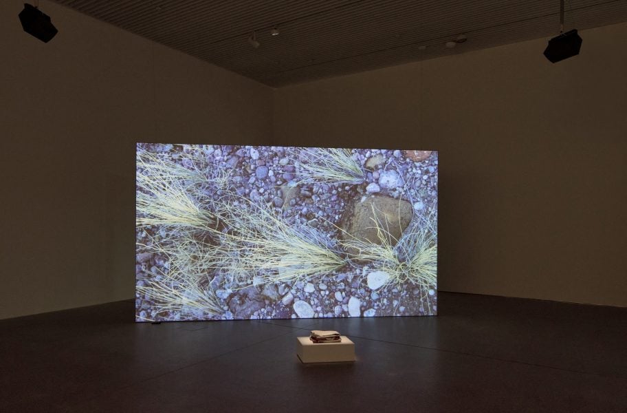 Rose B. Simpson, To Guest, 2025. Commissioned by the Biennale of Sydney and the Fondation Cartier pour l'art contemporain. Courtesy of the artist, Jessica Silverman and Jack Shainman Gallery © Rose B. Simpson. Installation view, 25th Biennale of Sydney, Rememory, 2026, Art Gallery of New South Wales. Photo © Art Gallery of New South Wales, Felicity Jenkins. 