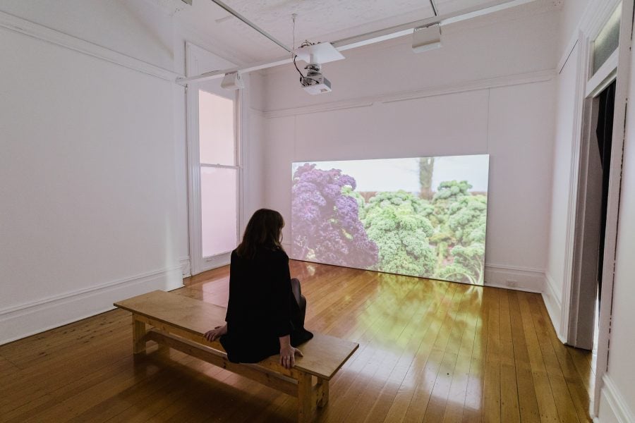 Deirdre O'Mahony, The Quickening, 2024. Presentation at the 25th Biennale of Sydney was made possible with generous support from Culture Ireland. Originally commissioned by The Douglas Hyde Gallery of Contemporary Art with generous support from The Arts Council//An Chomhairle Ealaíon through Project & Bursary Awards. Courtesy of the artist © Deirdre O'Mahony. Installation view, 25th Biennale of Sydney, Rememory, 2026, Lewers: Penrith Regional Gallery. Photograph: Maja Baska.