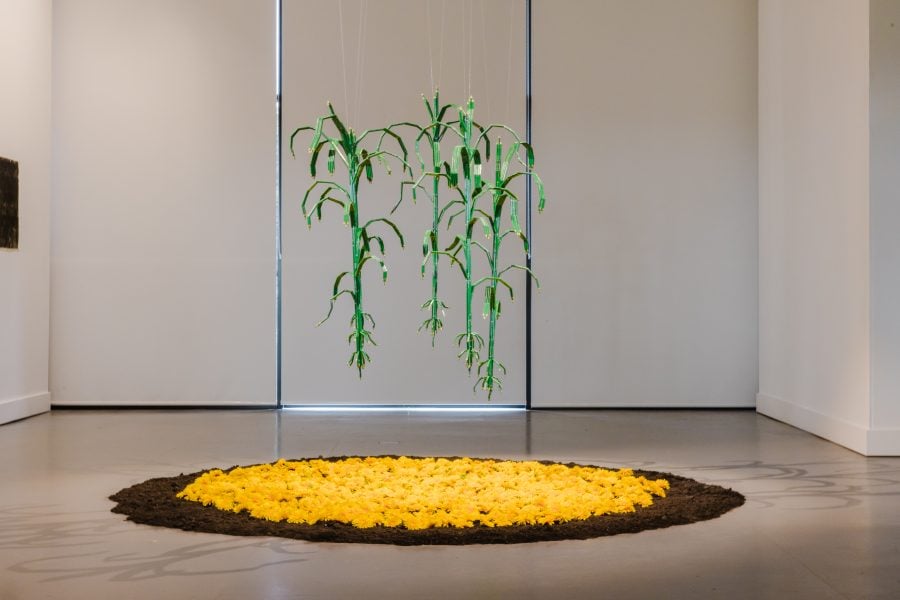 Fernando Poyón, Bringing joy to the earth, 2025. Commissioned by the Biennale of Sydney and the Fondation Cartier pour l'art contemporain. Courtesy of the artist © Fernando Poyón. Installation view, 25th Biennale of Sydney, Rememory, 2026, Lewers: Penrith Regional Gallery. Photograph: Maja Baska. 
