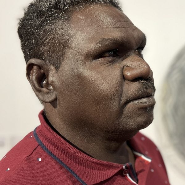 Gunybi Ganambarr