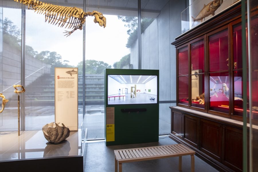 Niamh McCann, Hairline Crack: All locations, 2023 - 2026. Presentation at the 25th Biennale of Sydney was made possible with generous support from Culture Ireland. Courtesy of the artist and Green On Red Gallery, Dublin © Niamh McCann. Installation view, 25th Biennale of Sydney, Rememory, 2026, Chau Chak Wing Museum, The Univeristy of Sydney. Photograph: David James. 
