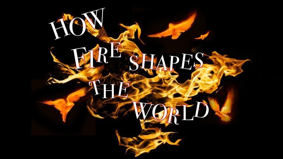How Fire Shapes The World – Youth Movement Workshop with Victoria Hunt