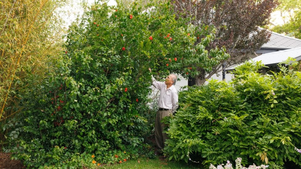 Galleries Open Early – Lewers: Penrith Regional Gallery