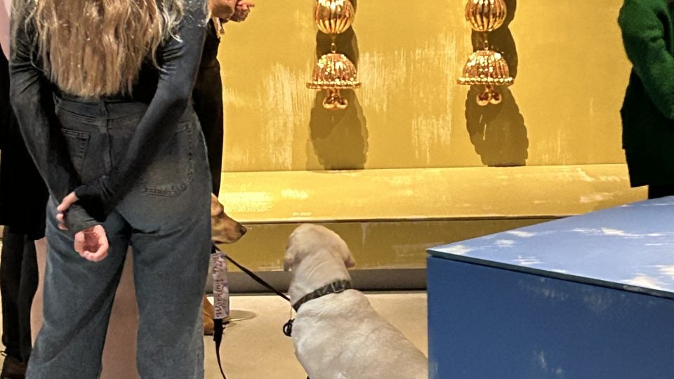 Auslan Tour of Biennale of Sydney at Chau Chak Wing Museum