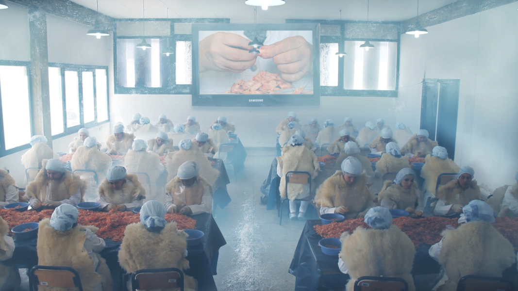 Bertille Bak, Boussa From the Netherlands (video still), 2017, FHD video, mixed-media installation. Courtesy the artist © Bertille BAK. ADAGP/Copyright Agency, 2025