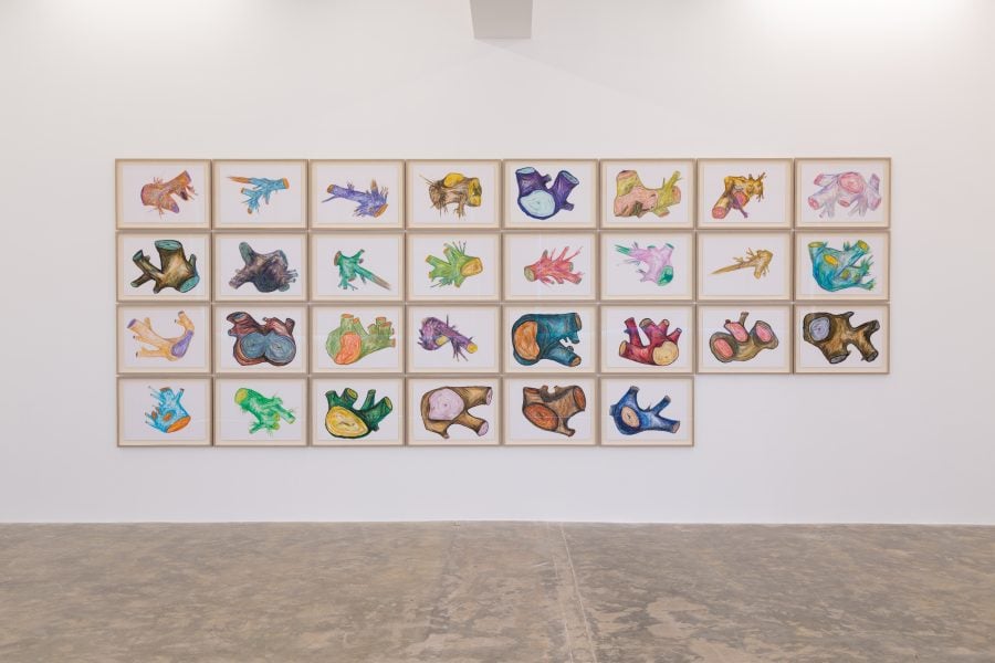 Khalil Rabah, Testimonies (from the Tree Trunks series), 2024, oil pastel on Daler Rowney fine grain-heavyweight paper, 42 x 60cm each. Photograph: Courtesy of the artist and Sfeir-Semler Gallery Beirut/Hamburg.