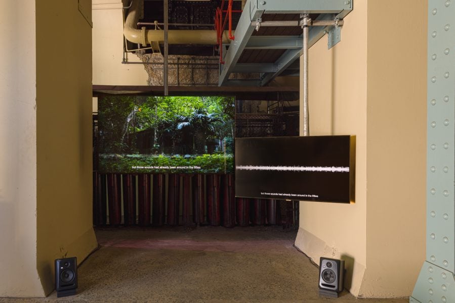 Hui Ye, Songs of Oblivion: Prelude, 2019–2026. This version was created for the Biennale of Sydney with generous support from Phileas - The Austrian Office for Contemporary Art, and Federal Ministry Housing, Arts, Culture, Media, and Sport Republic of Austria. Originally supported by the artistic research project Creative (Mis)understanding (2018-2022) at the University of Music and Performing Arts Vienna. Courtesy of the artist © Hui Ye. Installation view, 25th Biennale of Sydney, Rememory, 2026, White Bay Power Station. Photograph: Document Photography. 