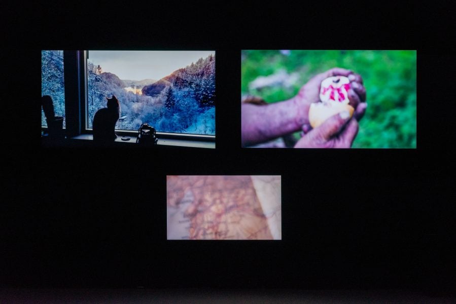 Nora Adwan, Shifting Inheritance, 2022, Three-channel video with sound, 19 minutes. Sound by Eva Pfitzenmaier. Photograph: Hordaland Kunstsenter. Courtesy of the artist.